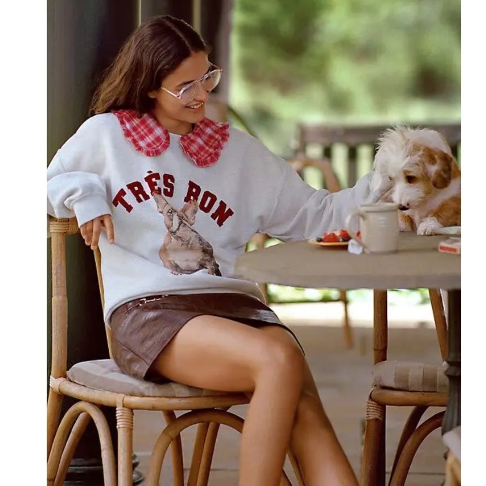 37) NWOT Anthropologie Oversized Dog Graphic Sweatshirt Grey Frenchie minor flaw - Picture 3 of 8